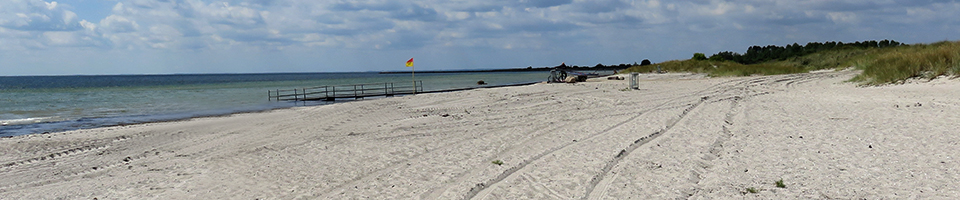 Beach in Denmark
