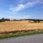 A typical landscape on Mid Zealand